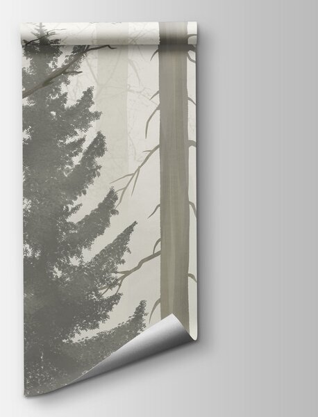 Fototapeta Zamlžený les se stromy, Přírodní fototapety, Populární fototapety - Tapeko.co.cz