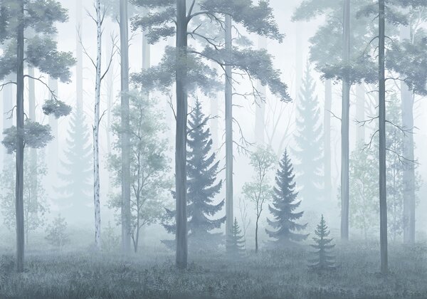 Fototapeta Zamlžený les se stromy, Přírodní fototapety, Populární fototapety - Tapeko.co.cz