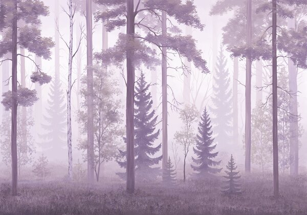 Fototapeta Zamlžený les se stromy, Přírodní fototapety, Populární fototapety - Tapeko.co.cz