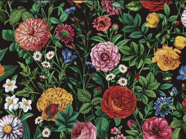 Vinylová tapeta Velvet Bloom černá