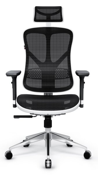 Ergonomická židle DIABLO V-BASIC: bílo-černá