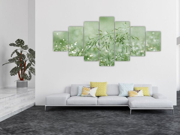 Obraz - Ranní rosa na stéblech trávy (210x100 cm)