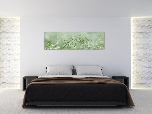 Obraz - Ranní rosa na stéblech trávy (170x50 cm)