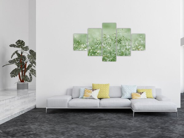 Obraz - Ranní rosa na stéblech trávy (125x70 cm)
