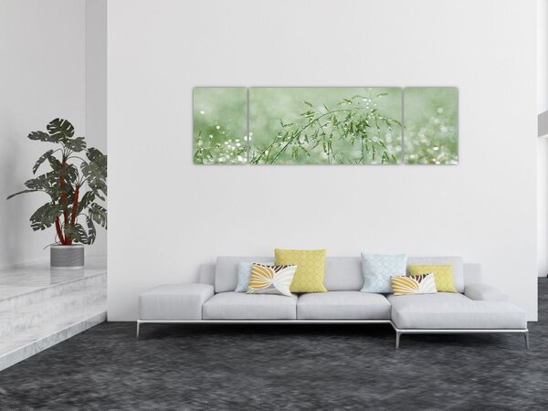 Obraz - Ranní rosa na stéblech trávy (170x50 cm)