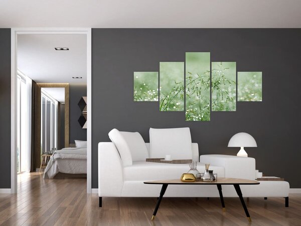 Obraz - Ranní rosa na stéblech trávy (125x70 cm)