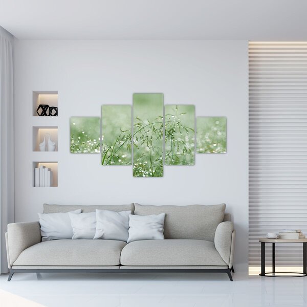 Obraz - Ranní rosa na stéblech trávy (125x70 cm)