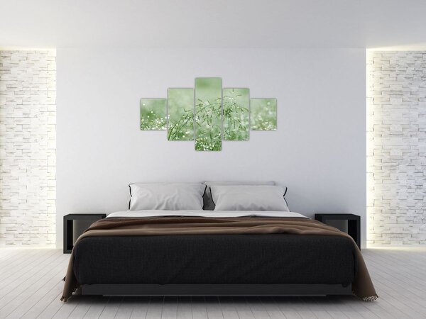 Obraz - Ranní rosa na stéblech trávy (125x70 cm)