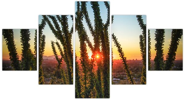 Obraz - Rostliny (125x70 cm)