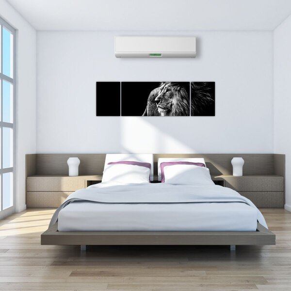 Obraz - Lev, černobílá (170x50 cm)