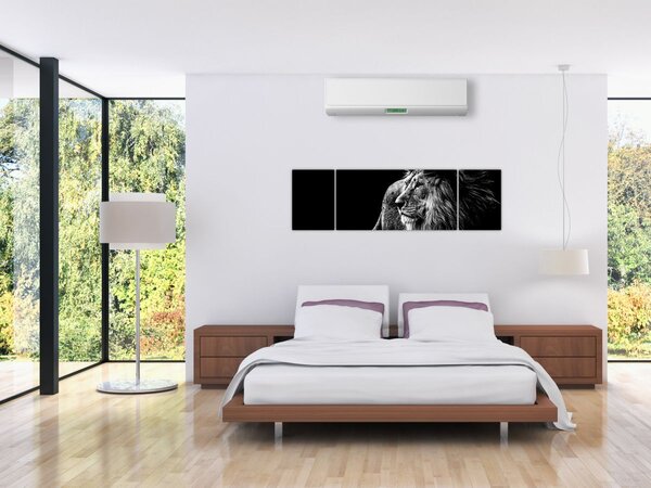Obraz - Lev, černobílá (170x50 cm)