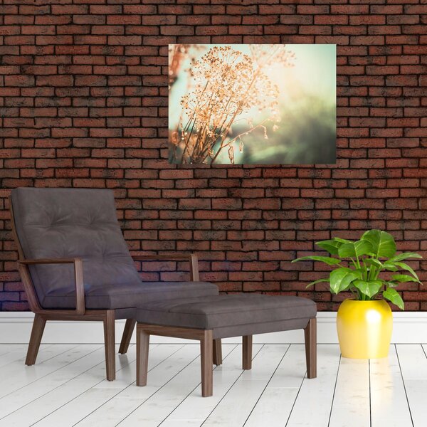 Obraz - Luční rostliny (70x50 cm)