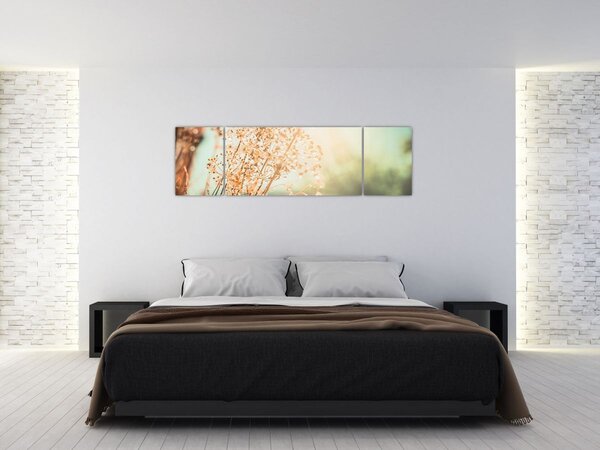 Obraz - Luční rostliny (170x50 cm)