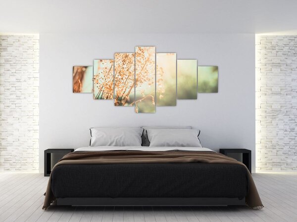 Obraz - Luční rostliny (210x100 cm)