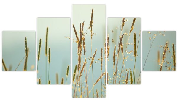 Obraz - Luční okamžik (125x70 cm)