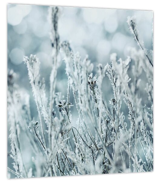 Obraz - Kouzlo zimy (30x30 cm)