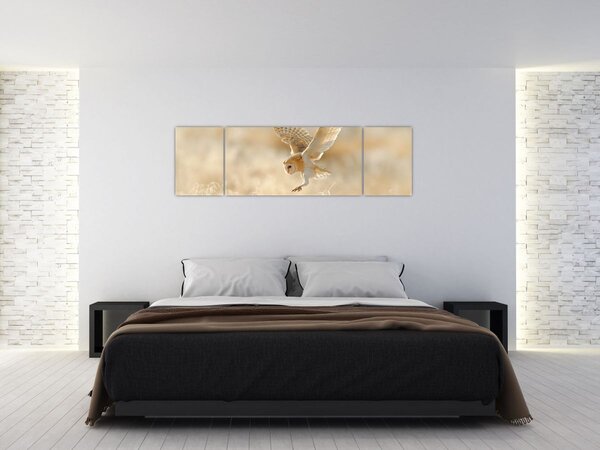 Obraz - Sova (170x50 cm)
