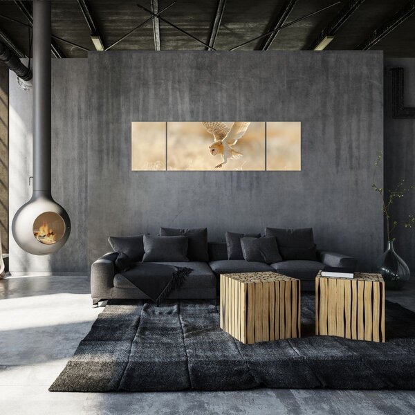 Obraz - Sova (170x50 cm)