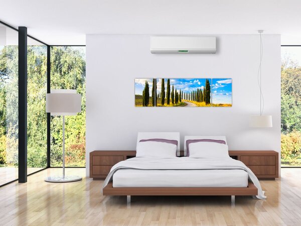 Obraz - Krajina (170x50 cm)