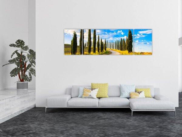 Obraz - Krajina (170x50 cm)