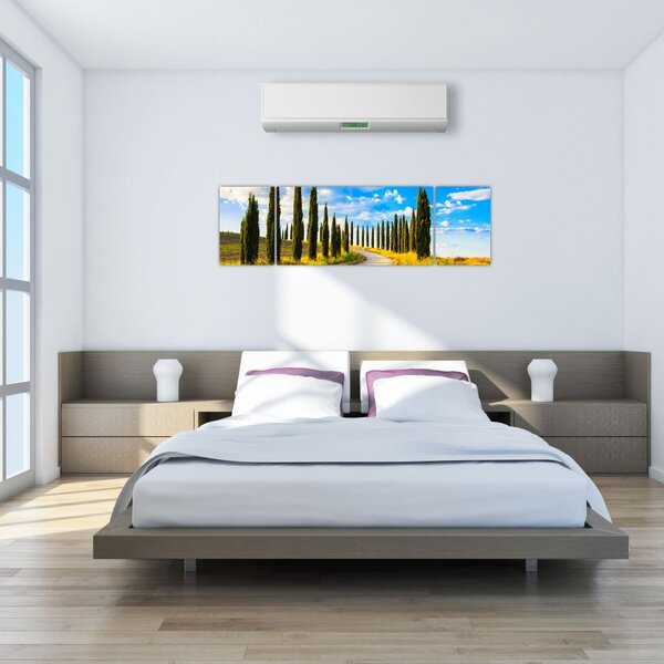 Obraz - Krajina (170x50 cm)