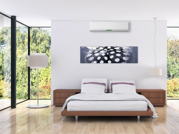 Obraz - Pírko (170x50 cm)