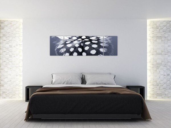 Obraz - Pírko (170x50 cm)