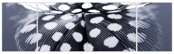 Obraz - Pírko (170x50 cm)