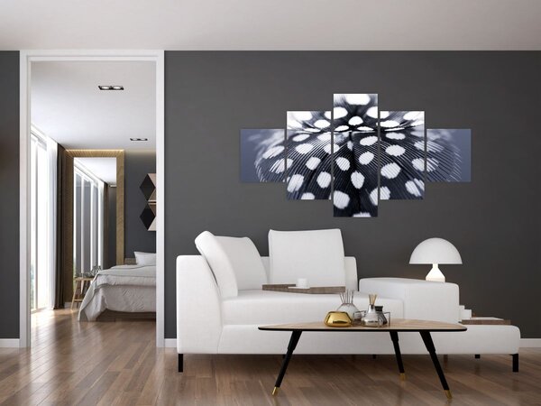 Obraz - Pírko (125x70 cm)