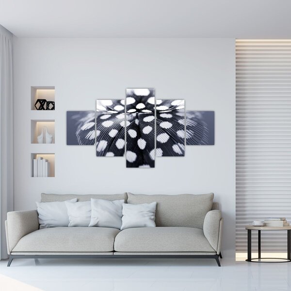 Obraz - Pírko (125x70 cm)