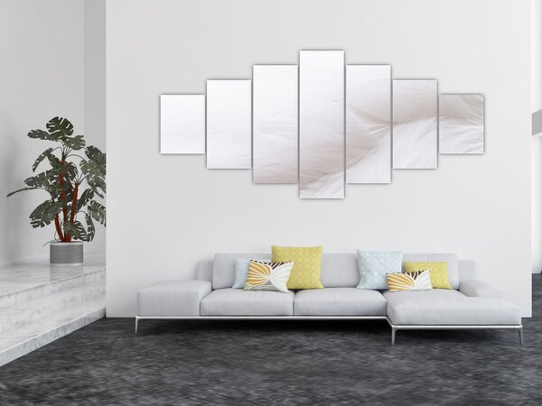 Obraz - Bílé pírko (210x100 cm)