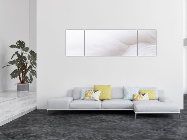 Obraz - Bílé pírko (170x50 cm)