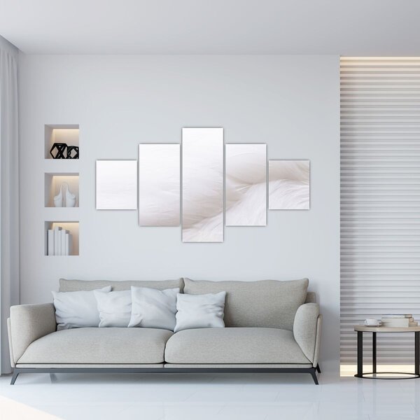 Obraz - Bílé pírko (125x70 cm)