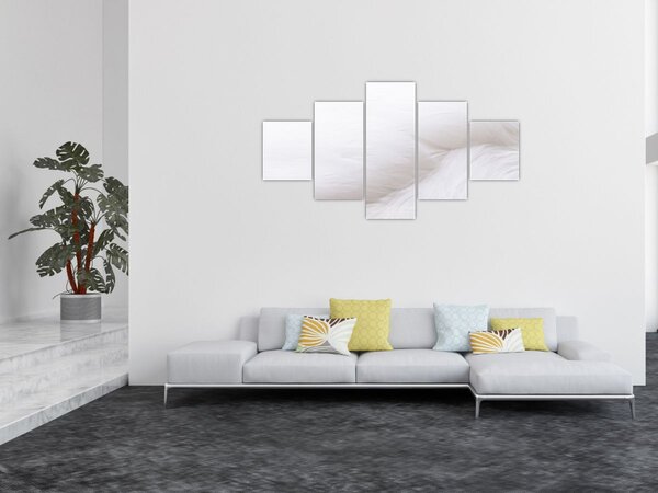 Obraz - Bílé pírko (125x70 cm)