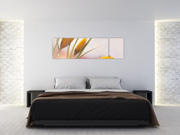 Obraz - Jarní květy (170x50 cm)