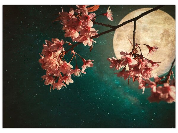Obraz - Sakura v úplňku (70x50 cm)