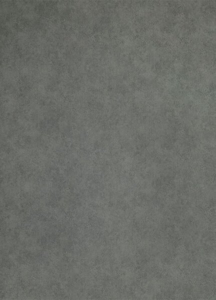Breno PVC STUDIO CASA Padua 599 – tmavě šedý beton, šíře 200 cm