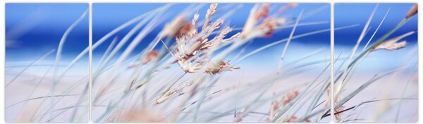 Obraz - Vánek (170x50 cm)