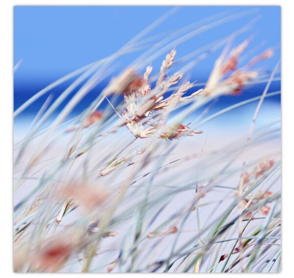 Obraz - Vánek (30x30 cm)
