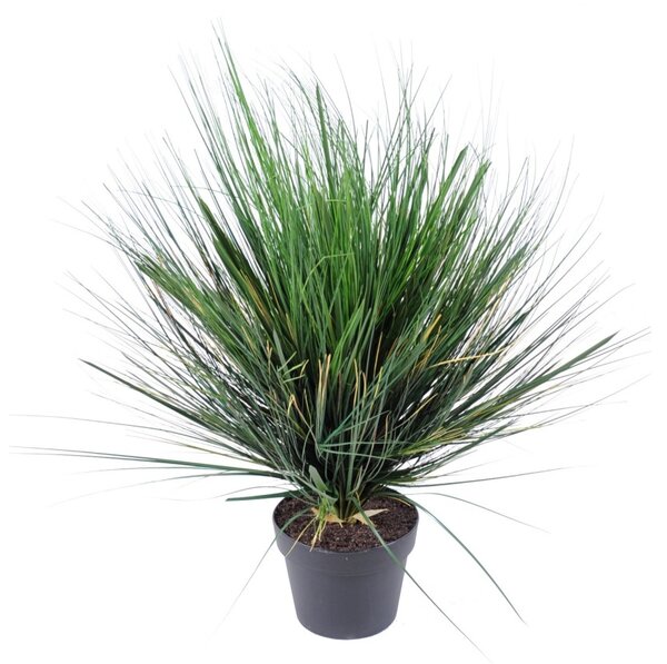 Umělá Cibulová tráva zelená v květináči, 70cm