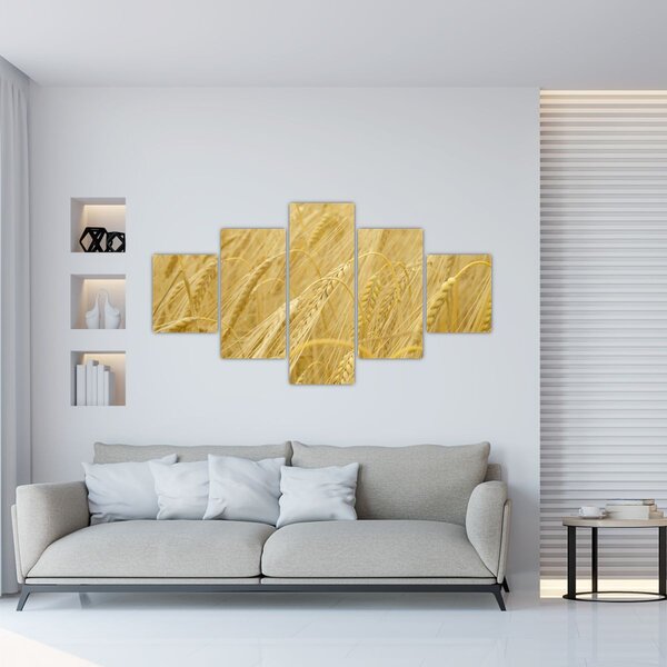 Obraz - Ječmen (125x70 cm)