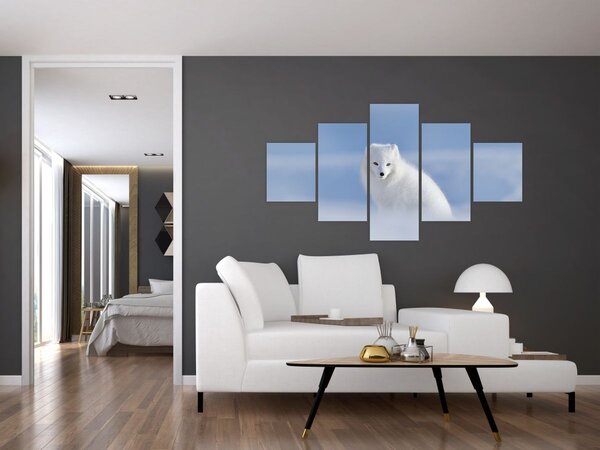 Obraz - Polární liška (125x70 cm)