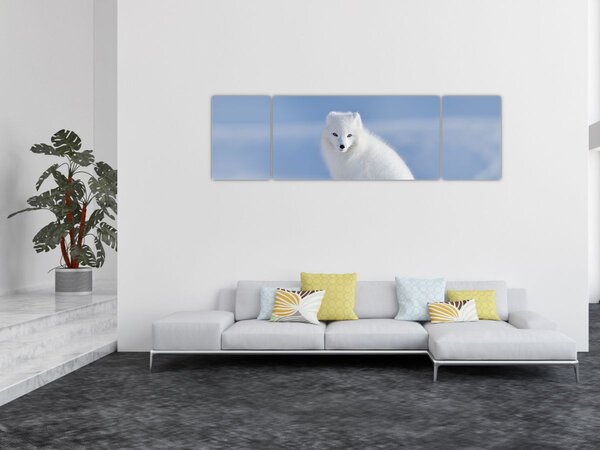Obraz - Polární liška (170x50 cm)