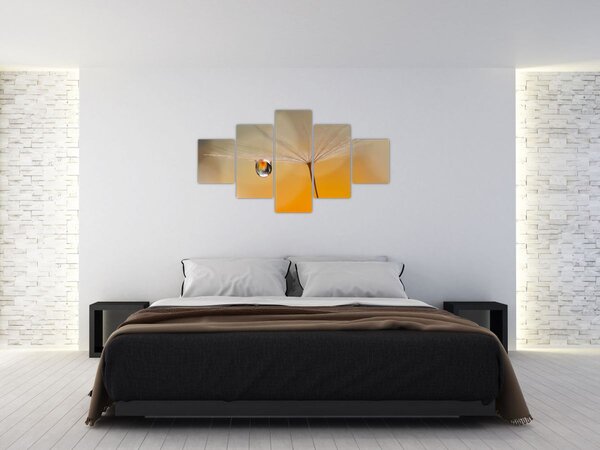 Obraz - Makro květu (125x70 cm)