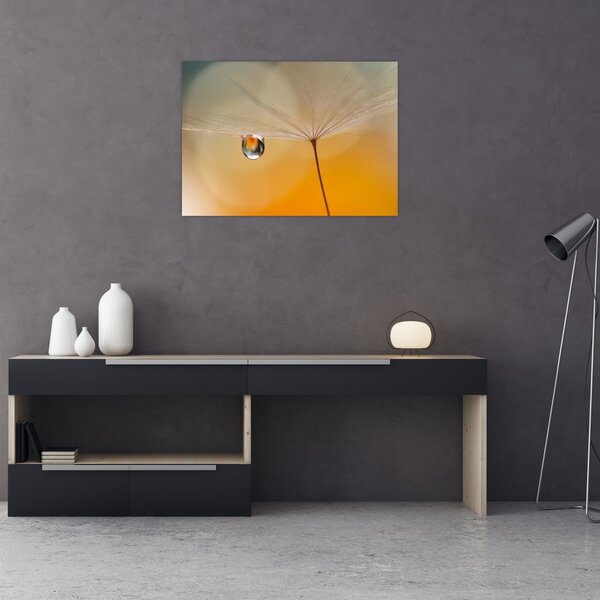 Obraz - Makro květu (70x50 cm)