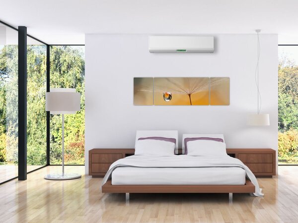 Obraz - Makro květu (170x50 cm)