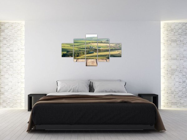Obraz - Výhled na krajinu (125x70 cm)