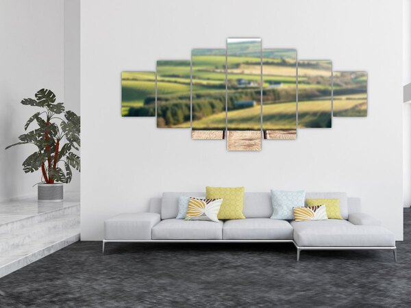 Obraz - Výhled na krajinu (210x100 cm)