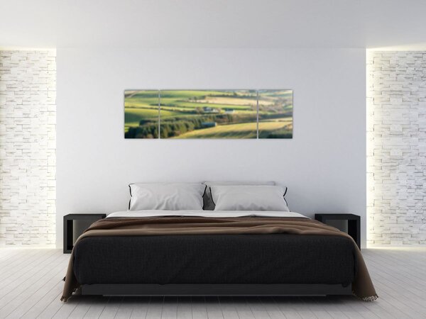 Obraz - Výhled na krajinu (170x50 cm)