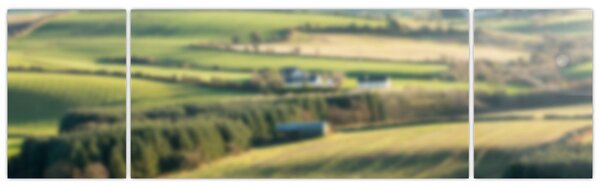 Obraz - Výhled na krajinu (170x50 cm)